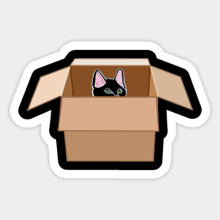 Black Kitten Peeking from Cardboard Box Sticker